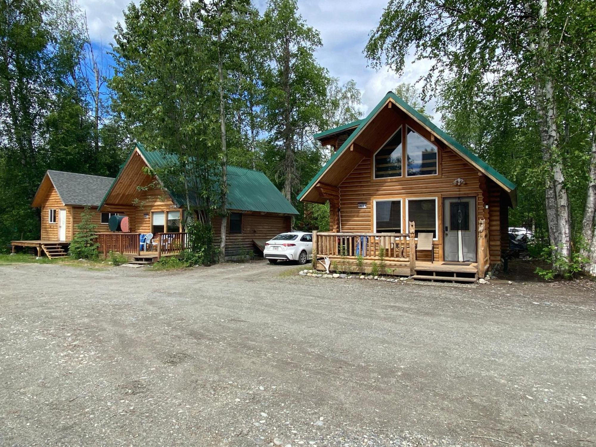 Talkeetna Log Cabin With Hot Tub Unit 1 外观 照片
